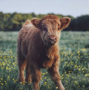 Meet your Posher, Katelyn